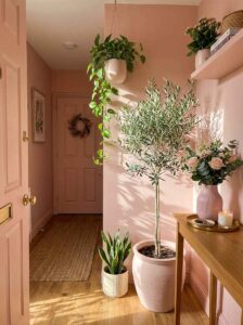 A lush artificial potted olive tree and hanging pothos plant used as natural foyer decorating ideas against warm neutral cream walls.